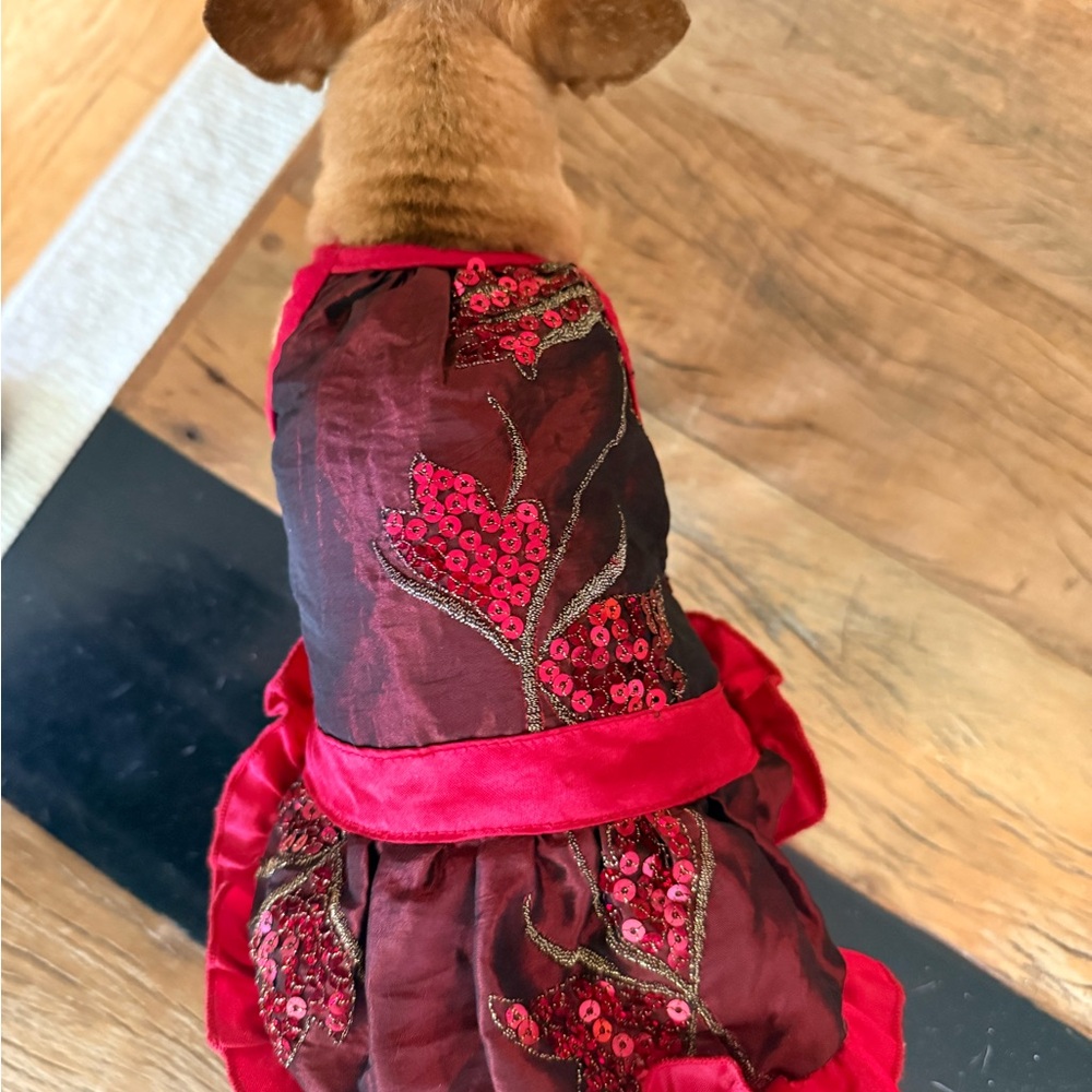 💃🏼 Red and Black Dog Dress with Sequin Details 🐾